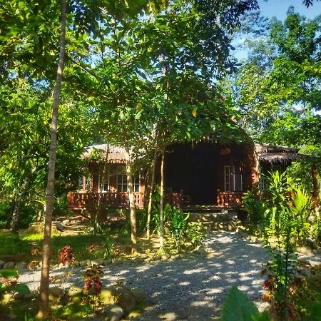 Etalauser Jungle Gate Ecoresort Bukit Lawang Buitenkant foto