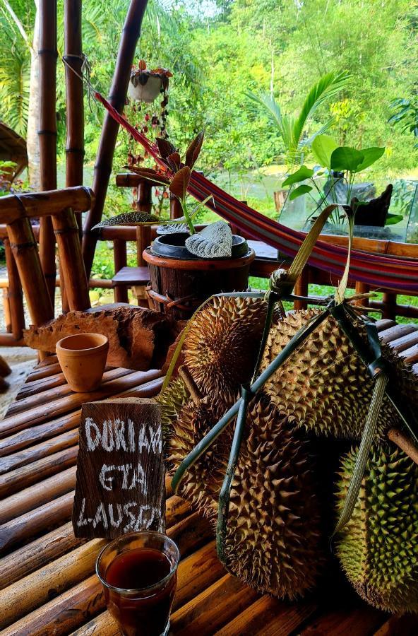 Etalauser Jungle Gate Ecoresort Bukit Lawang Buitenkant foto