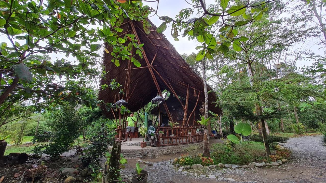 Etalauser Jungle Gate Ecoresort Bukit Lawang Buitenkant foto