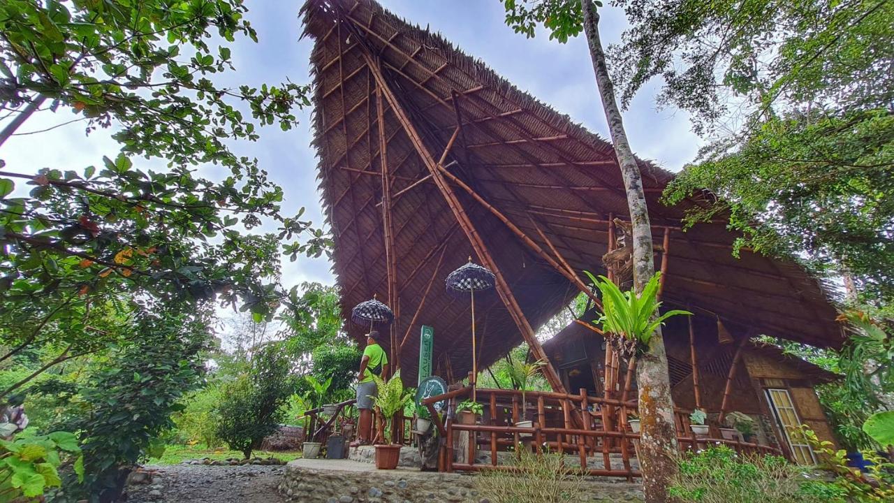 Etalauser Jungle Gate Ecoresort Bukit Lawang Buitenkant foto